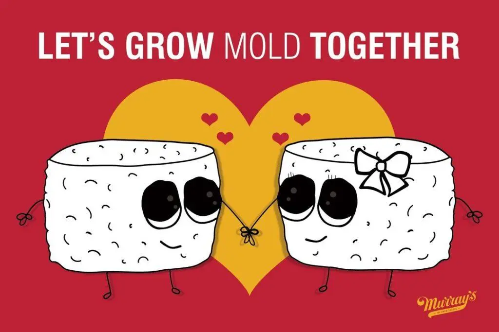 Cute Cheese Puns for Instagram Captions